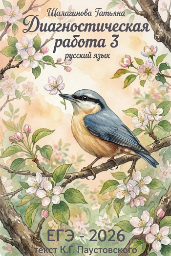 Диагностическая работа 3